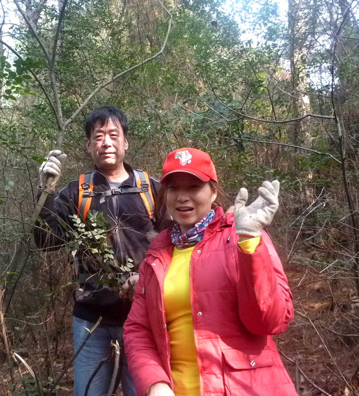 p1100643_.jpg