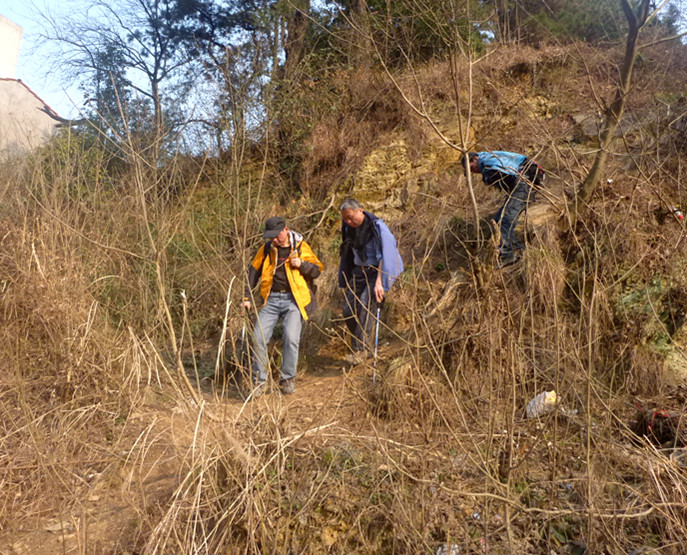 p1100660_.jpg