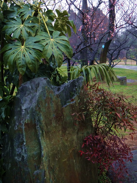dsc04093.jpg
