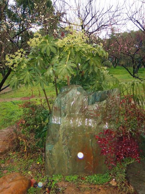 dc04091.jpg