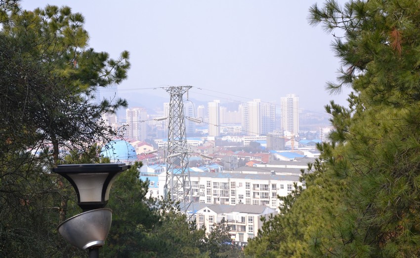 2012.2.18005.jpg