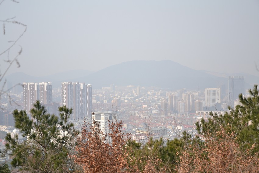 2012.2.18006.jpg
