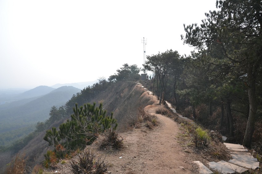 2012.2.18013.jpg