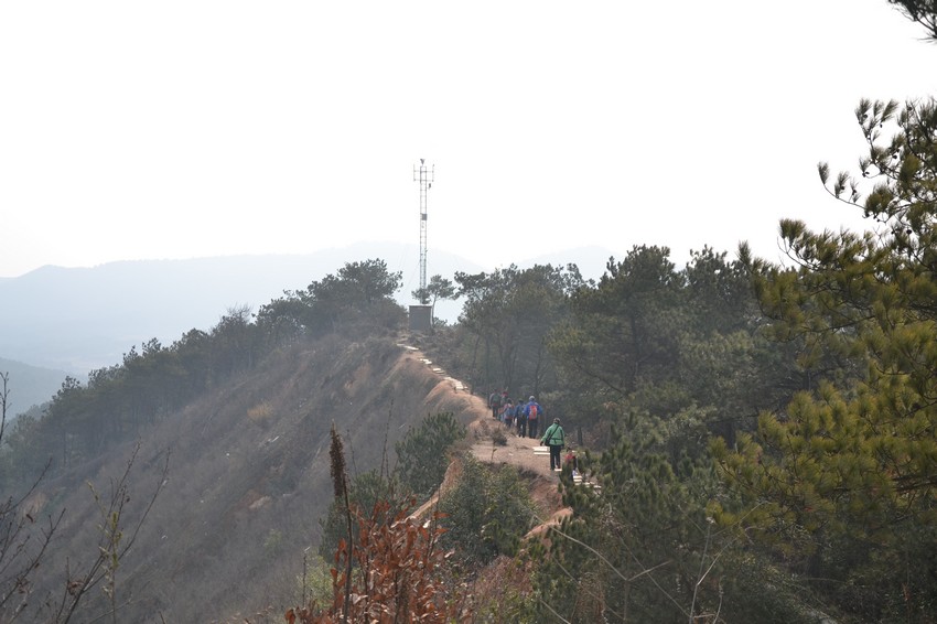 2012.2.18010.jpg