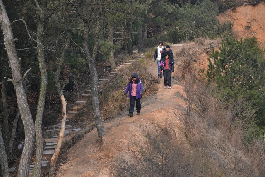 2012.2.18015.jpg