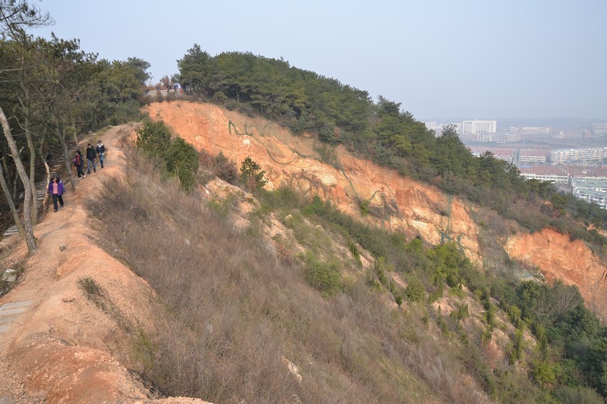 2012.2.18017.jpg