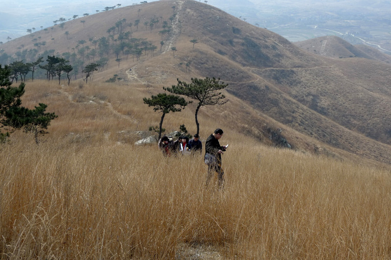 p1070290.jpg