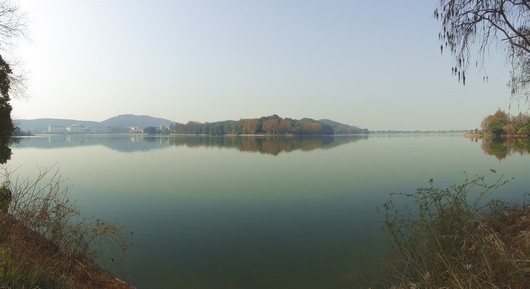 dsc04203.jpg