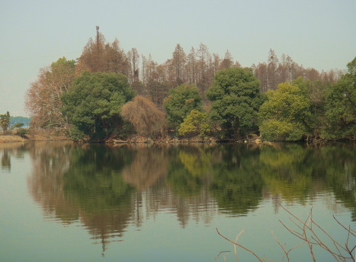 dsc04196.jpg