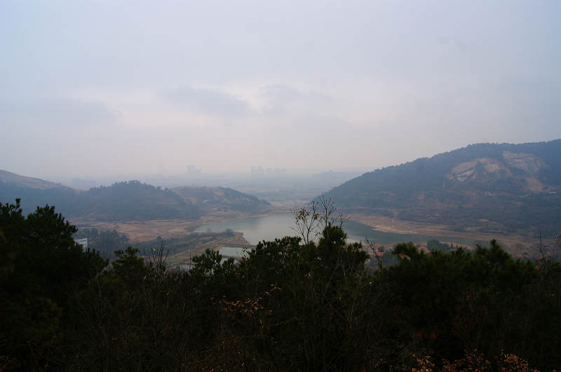dsc04650.jpg