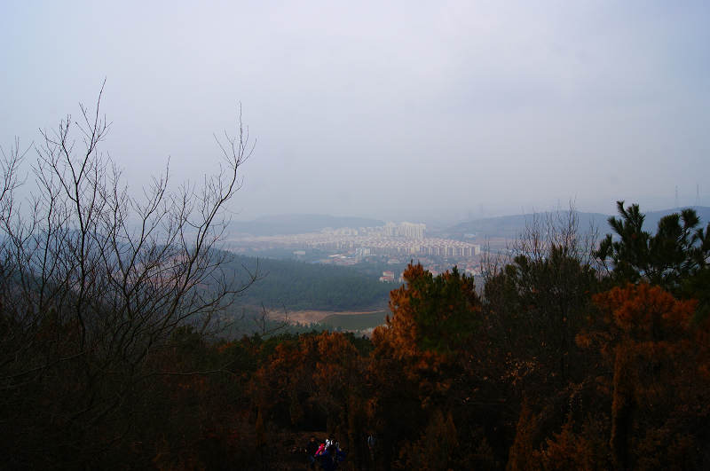 dsc04656.jpg