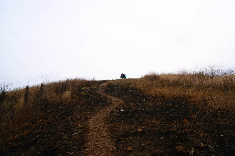 dsc04661.jpg