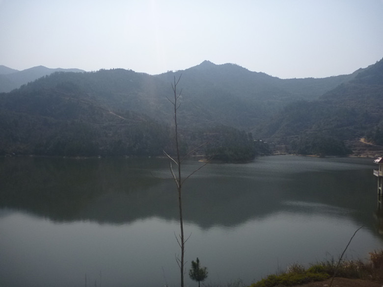 p1100665_.jpg