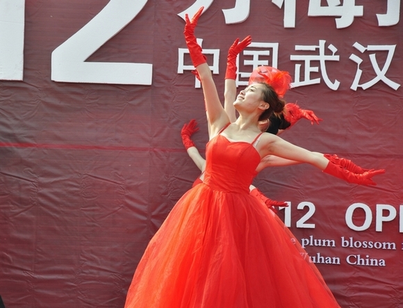 dsc_0011z.jpg
