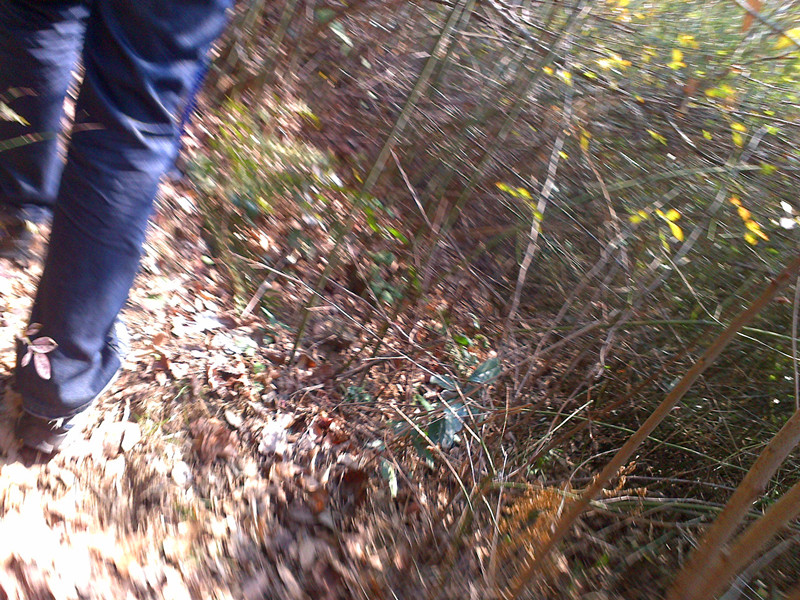 20120219141_.jpg