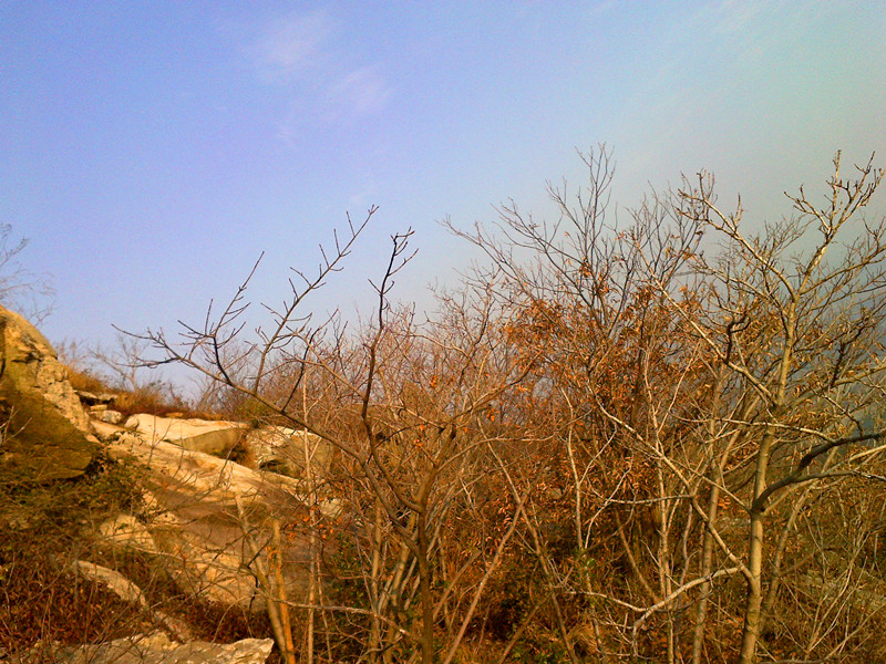 20120219146_.jpg