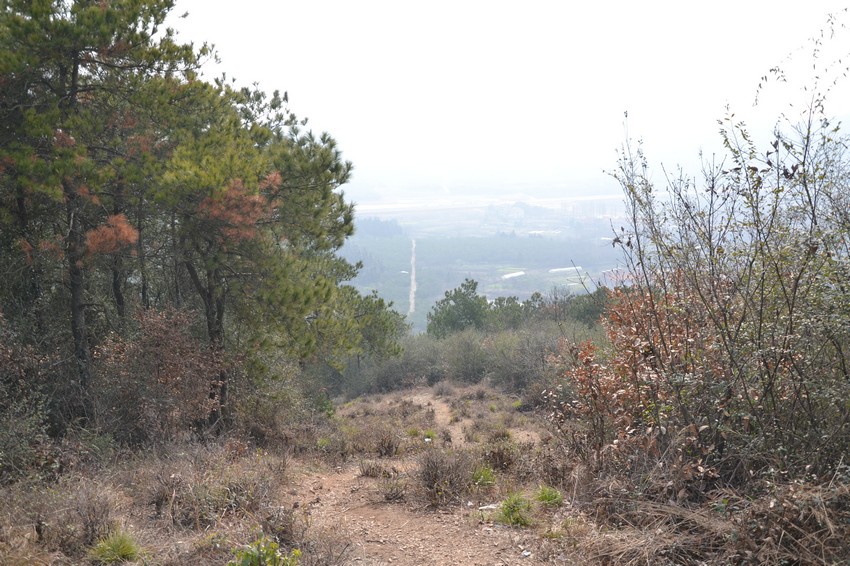 2012.2.18021.jpg