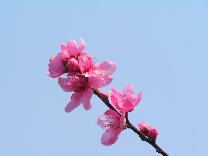 紺һ֦-1.jpg