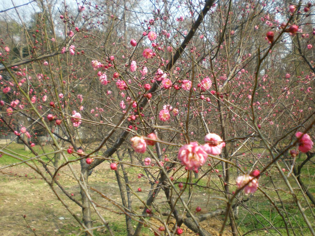 p2190010.jpg