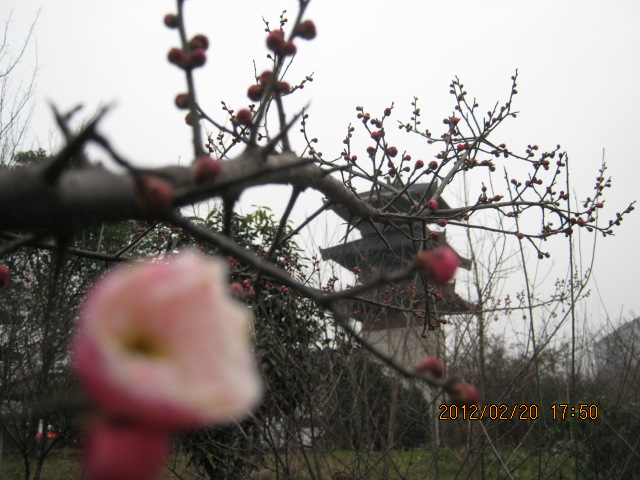 img_5759.jpg