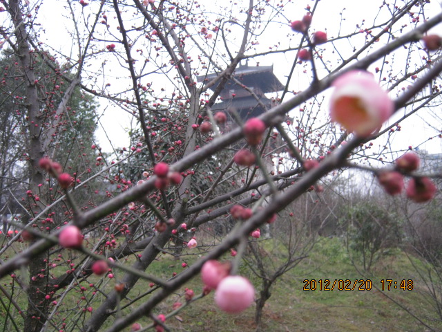 img_5756.jpg