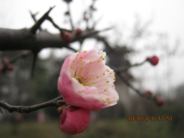 img_5760.jpg