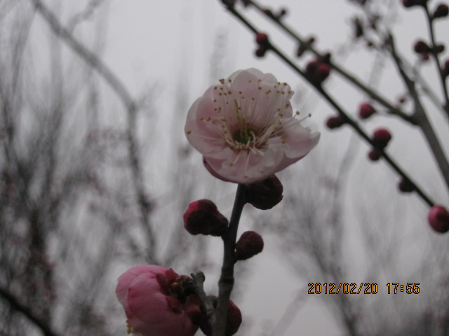 img_5764.jpg