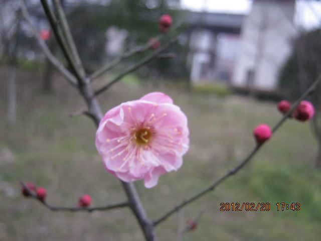 img_5751.jpg