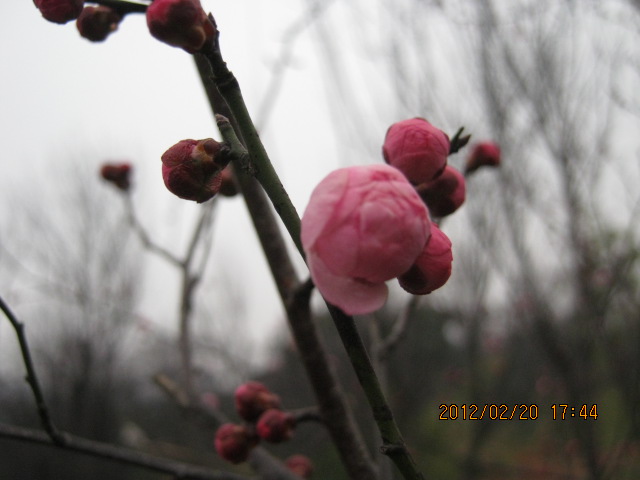 img_5753.jpg