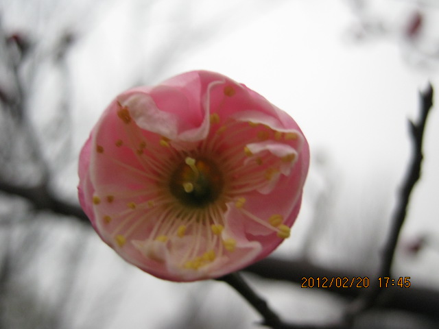 img_5754.jpg