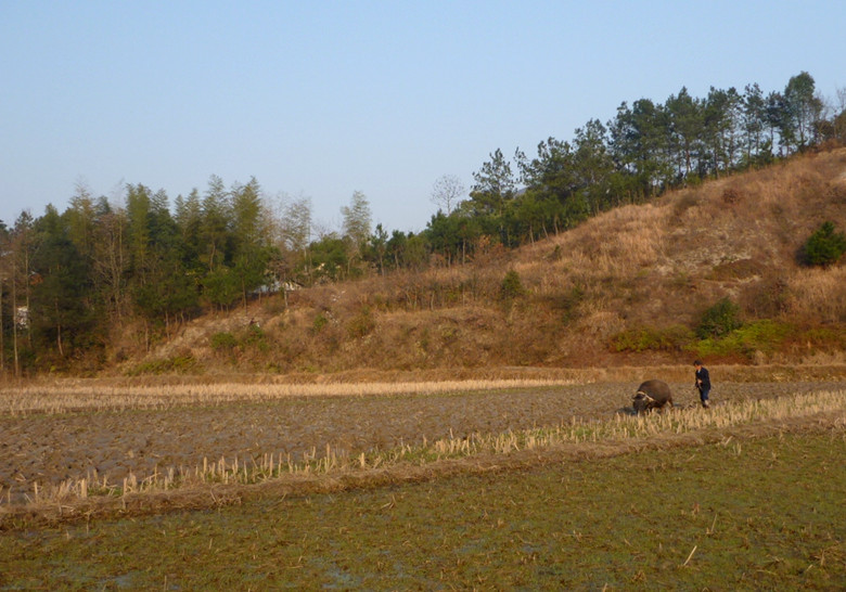 p1100741_����.jpg