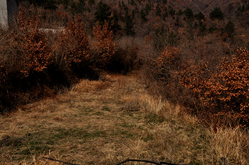 dsc_0102_.jpg