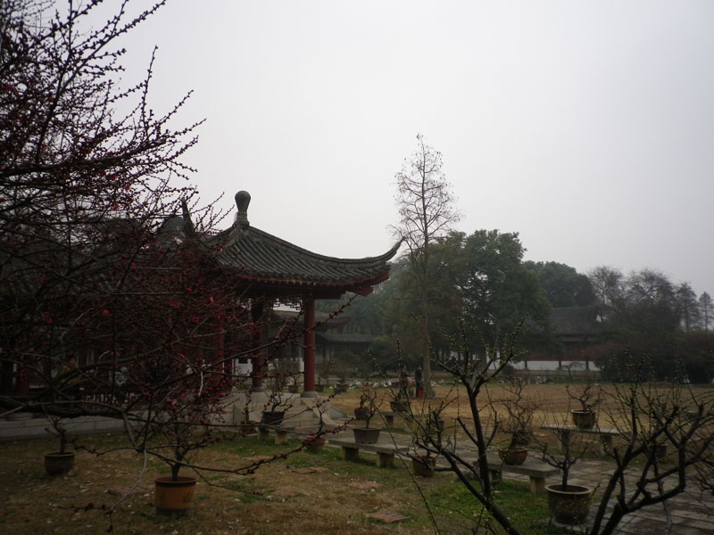 imgp0954.jpg