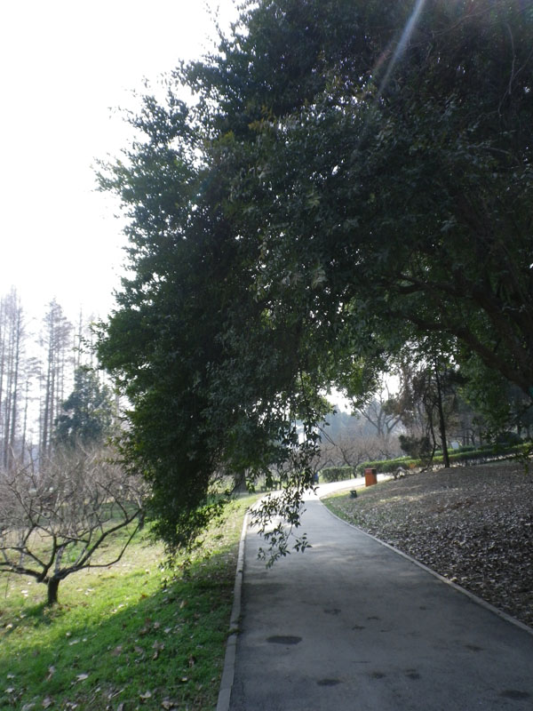 imgp0951.jpg