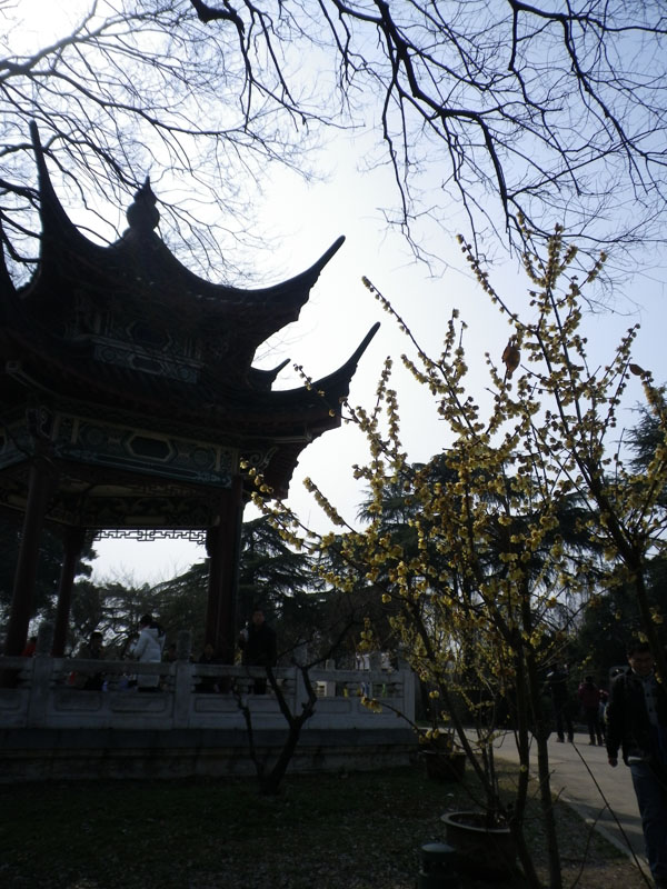 imgp0942.jpg