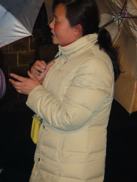 dsc04268.jpg