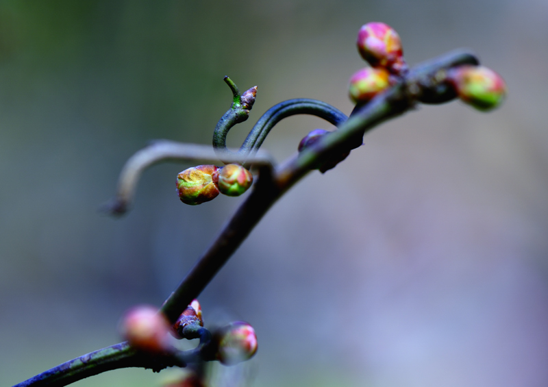_dsc0409.jpg