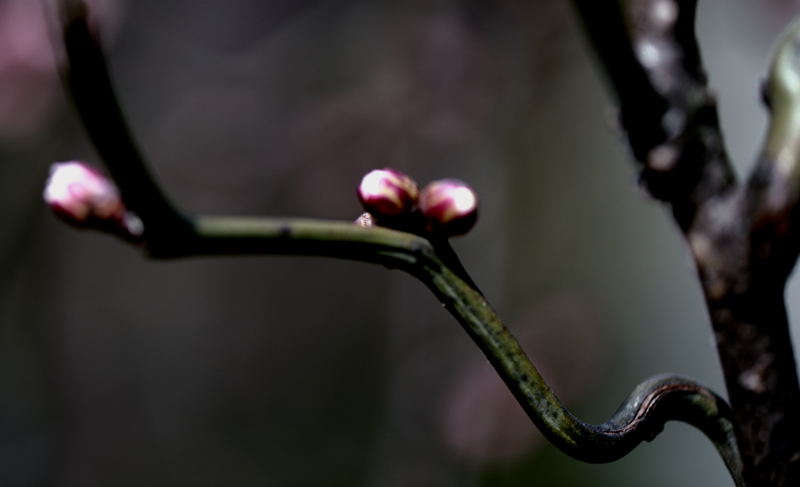 _dsc0363.jpg
