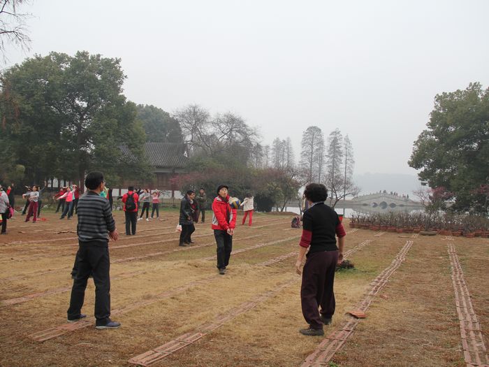 img_5830_neo_img.jpg