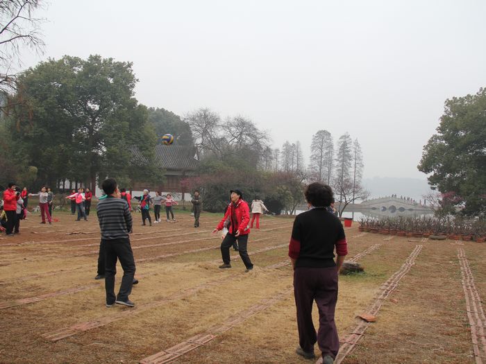 img_5833_neo_img.jpg