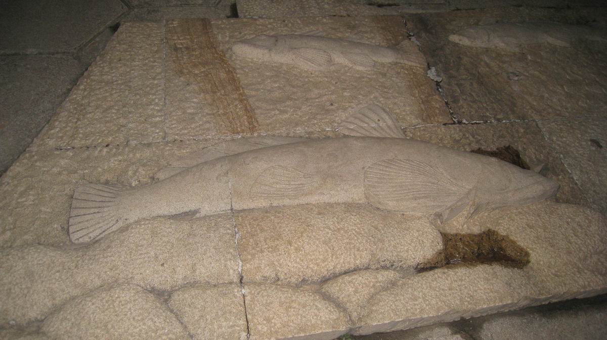 С 484 023.jpg