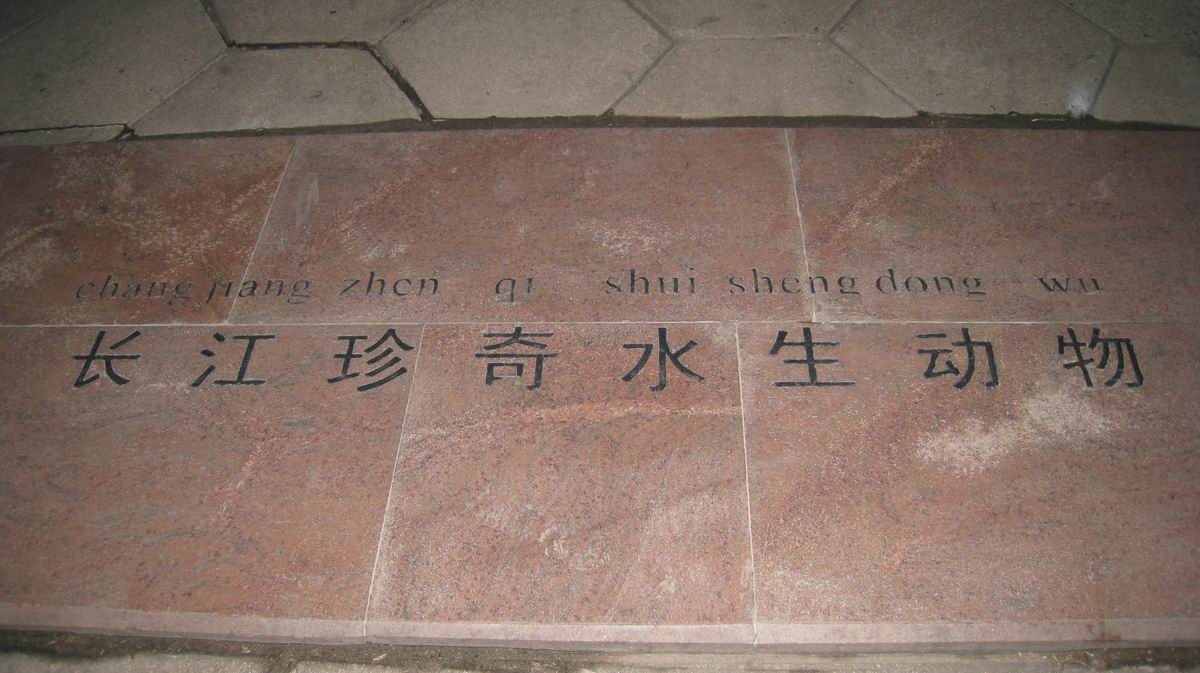 С 484 010.jpg
