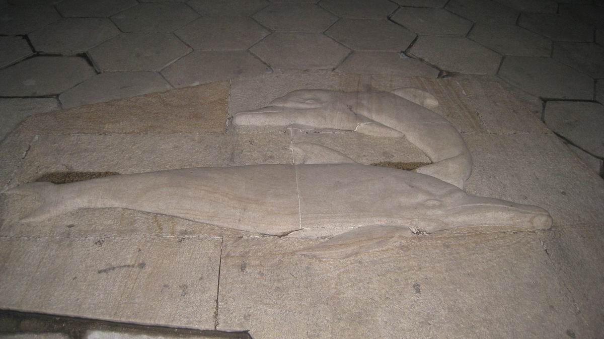 С 484 011.jpg