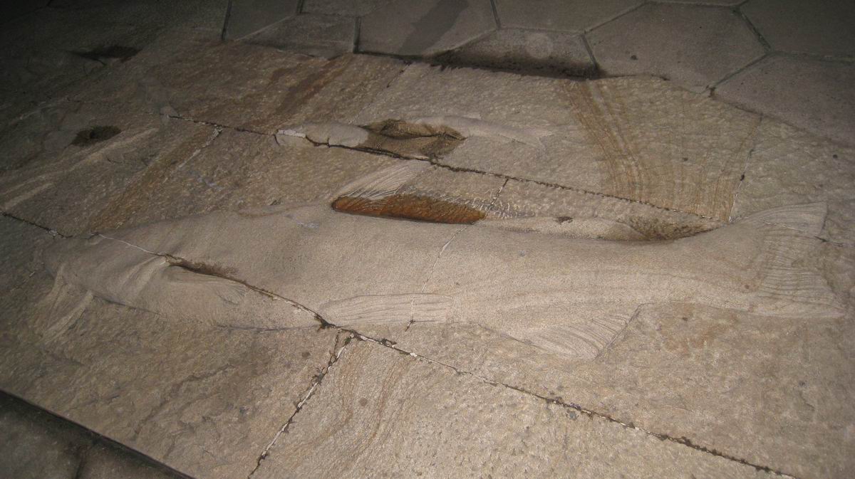 С 484 018.jpg