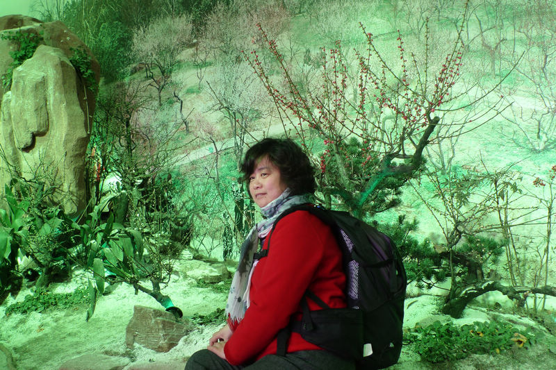p1070695.jpg