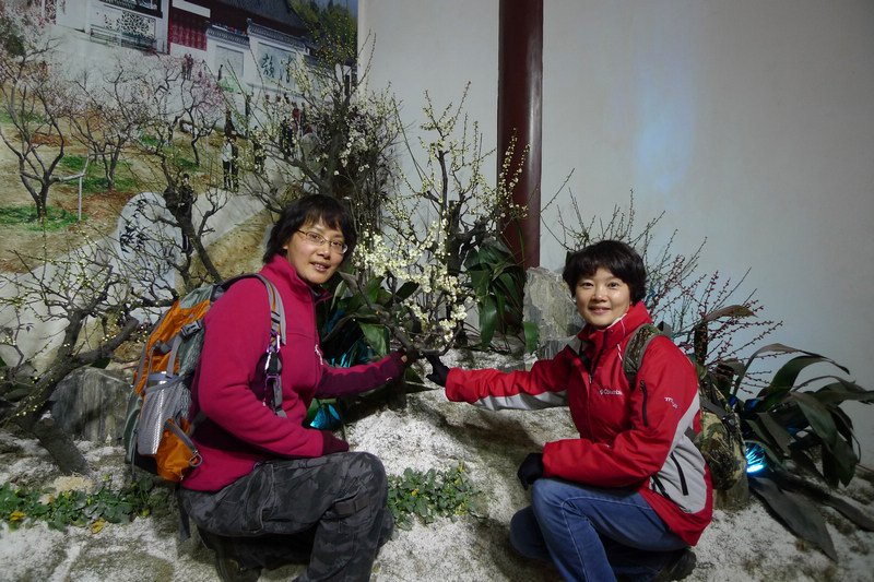 p1070710.jpg