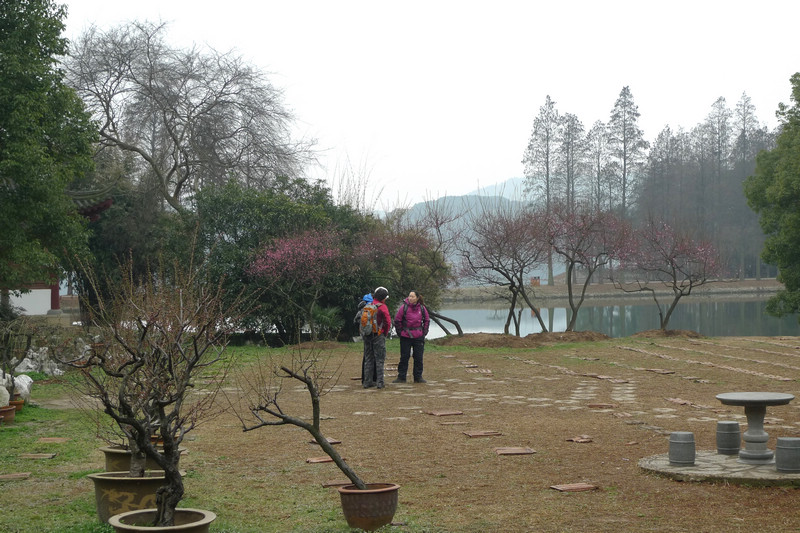 p1070722.jpg