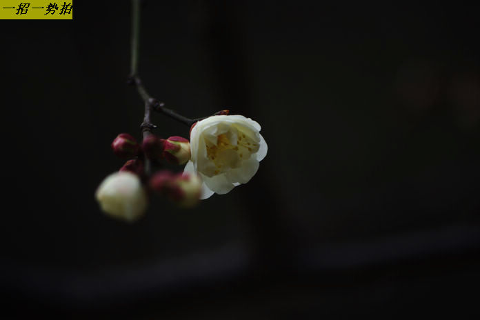 imgp6113.jpg