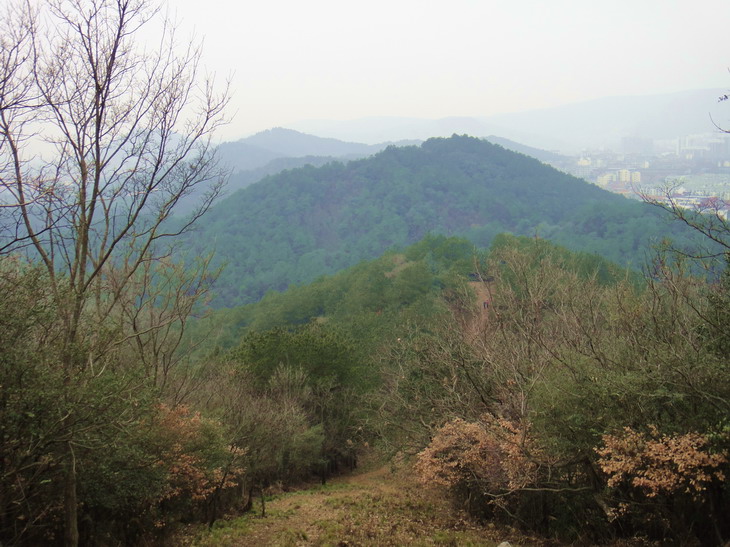 dsc03611.jpg