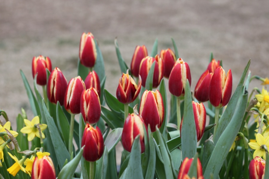 img_8894.jpg